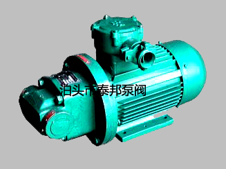 RYB雙圓弧擺線內齒泵,擺線內嚙合齒輪泵,擺線泵